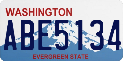 WA license plate ABE5134
