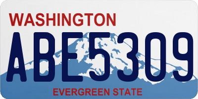 WA license plate ABE5309