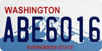 WA license plate ABE6016