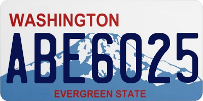 WA license plate ABE6025