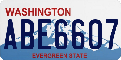 WA license plate ABE6607
