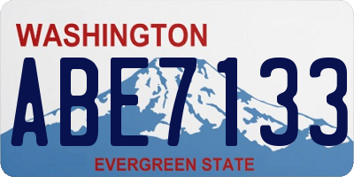 WA license plate ABE7133
