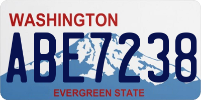 WA license plate ABE7238