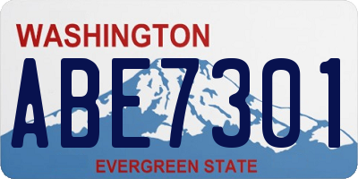 WA license plate ABE7301