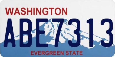 WA license plate ABE7313