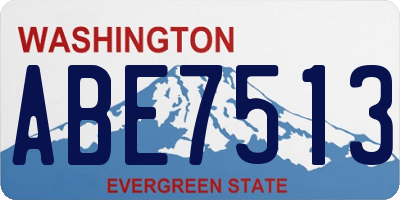 WA license plate ABE7513
