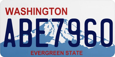 WA license plate ABE7960
