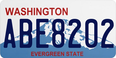 WA license plate ABE8202