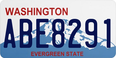 WA license plate ABE8291