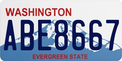 WA license plate ABE8667