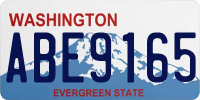 WA license plate ABE9165