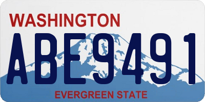 WA license plate ABE9491