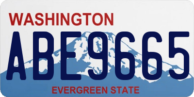 WA license plate ABE9665