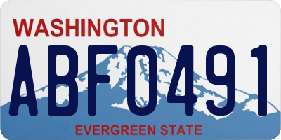 WA license plate ABF0491