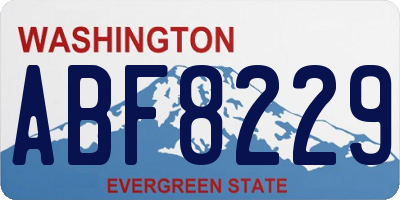 WA license plate ABF8229