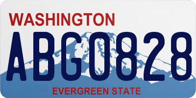 WA license plate ABG0828