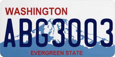 WA license plate ABG3003