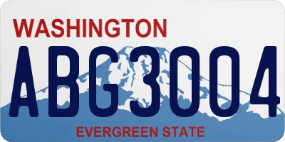 WA license plate ABG3004
