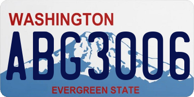 WA license plate ABG3006