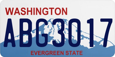 WA license plate ABG3017