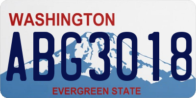 WA license plate ABG3018