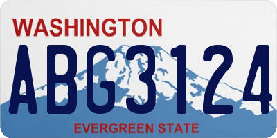 WA license plate ABG3124
