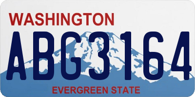 WA license plate ABG3164