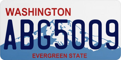 WA license plate ABG5009
