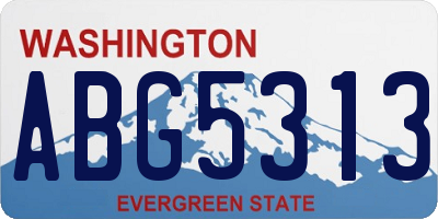 WA license plate ABG5313