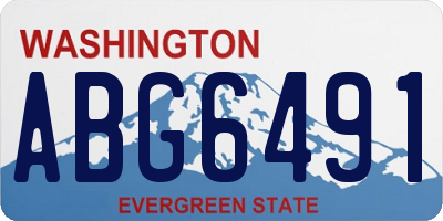 WA license plate ABG6491