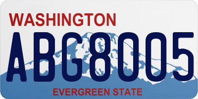 WA license plate ABG8005