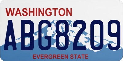 WA license plate ABG8209
