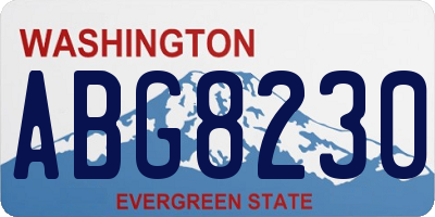 WA license plate ABG8230