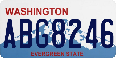 WA license plate ABG8246