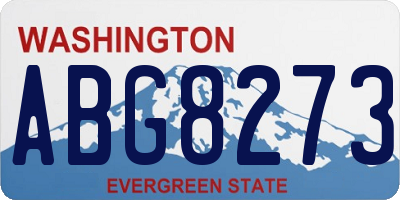 WA license plate ABG8273