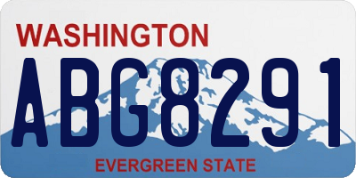 WA license plate ABG8291