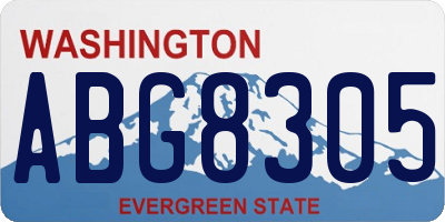 WA license plate ABG8305