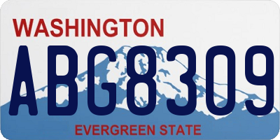 WA license plate ABG8309