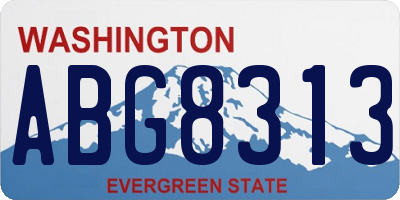 WA license plate ABG8313