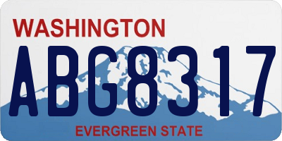 WA license plate ABG8317