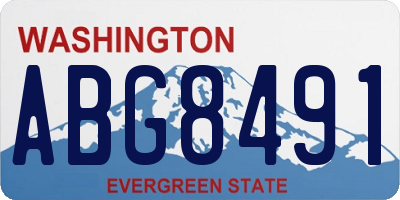 WA license plate ABG8491
