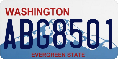 WA license plate ABG8501