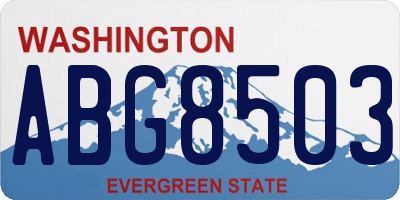 WA license plate ABG8503