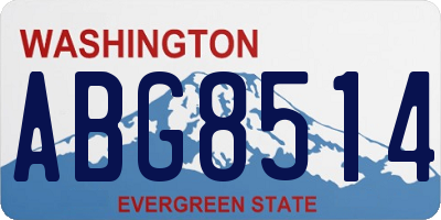 WA license plate ABG8514