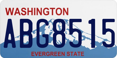 WA license plate ABG8515