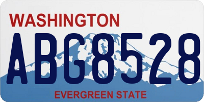 WA license plate ABG8528