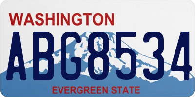 WA license plate ABG8534