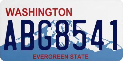 WA license plate ABG8541