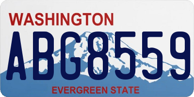 WA license plate ABG8559