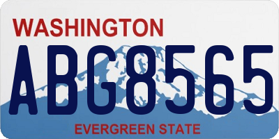 WA license plate ABG8565